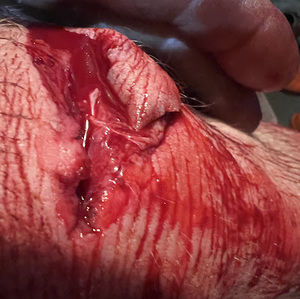 Meet your Posher, Jeffrey